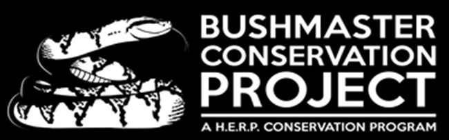Bushmaster Project Costa Rica www.bushmasterproject.com