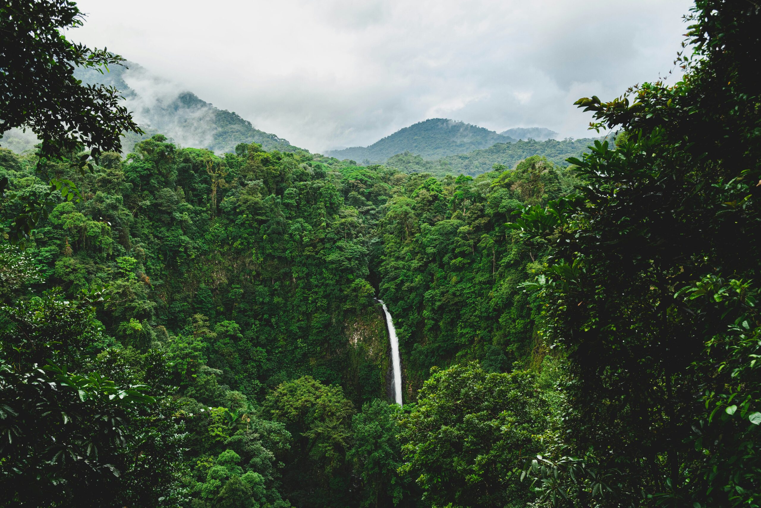 Exploring Costa Rica’s Diverse Ecosystems