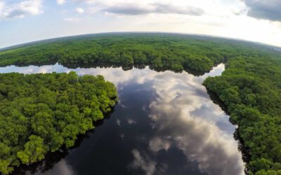 Herping in Ecuador’s Amazon Basin