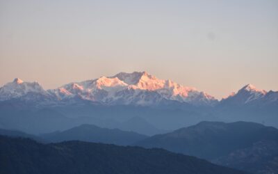 Herping in the Himalayas