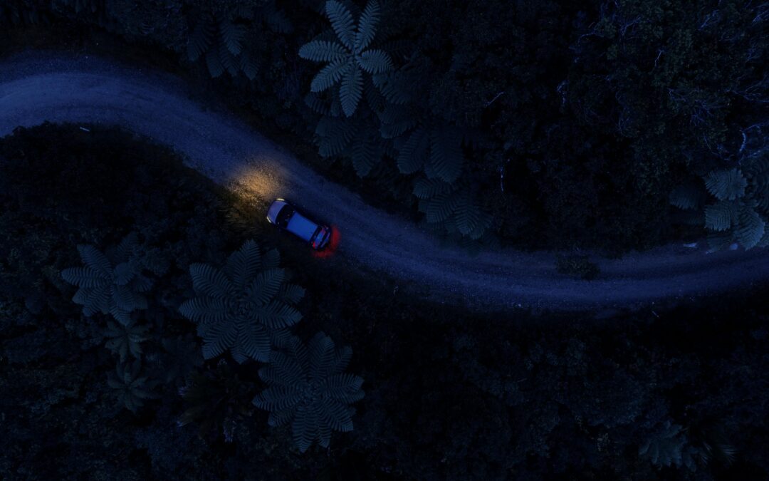 Day vs. Night Herping