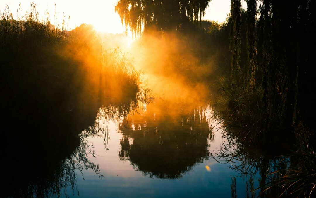 Herping in Extreme Weather