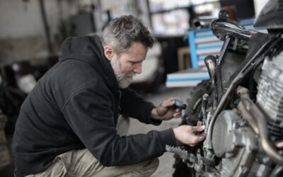 Night Herping Guide: How to Find Snakes, Frogs, and Geckos After Dark