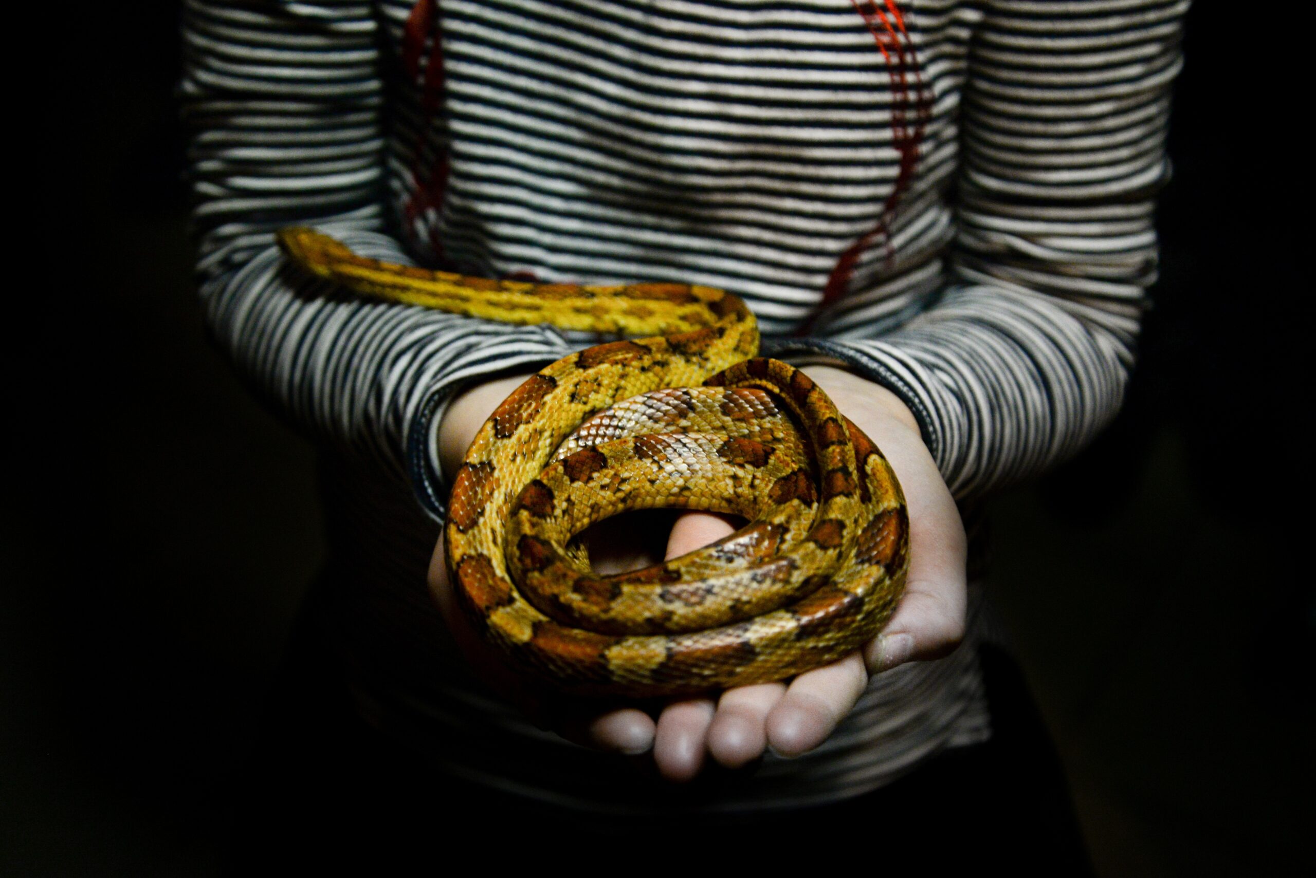 herping