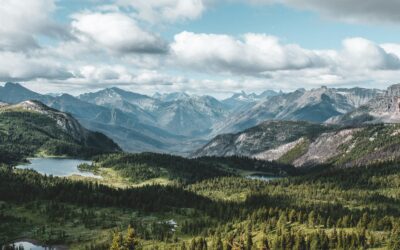 Exploring Coastal Habitats, Grasslands, and Mountain Canyons Through Herping